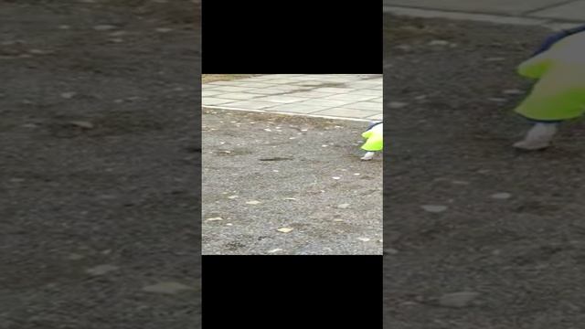 Прогулка Мартина в костюмчике. смотреть онлайн