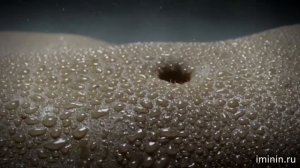 Валерий Брюсов - "Женщине"