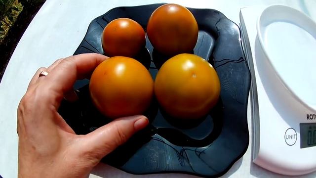 Томат - Marz Green Striped (Марз зелёный полосатый) смотреть онлайн