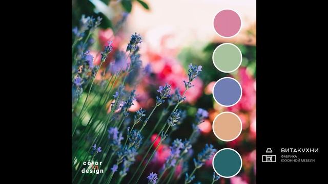 Палитры сочетающихся цветов - невозможно оторваться! Для тех, кто выбирает цвета для кухни смотреть онлайн
