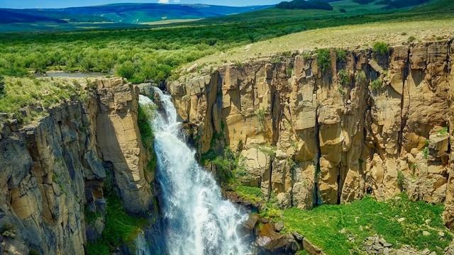 Ryan Taubert. Future With Delight