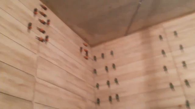 Плитка в Санузле за 5 минут// УУКЛАДКА ПЛИТКИ НА СТЕНЫ. смотреть онлайн