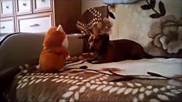 Алиэкспресс: 10 прикольных штучек! смотреть онлайн