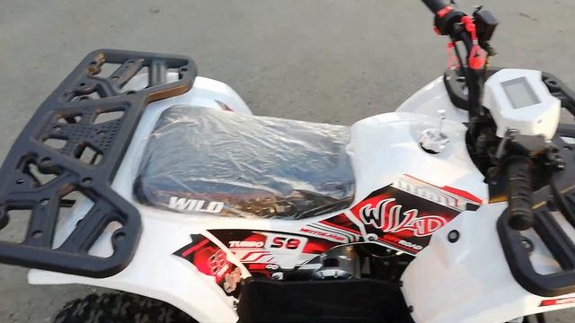 Motoland WILD 125