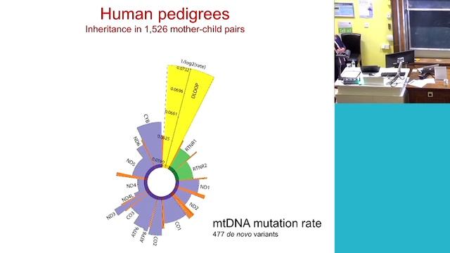 Genomic Seminar - Professor Patrick Chinnery & Dr Stephanie Greville-Heygate смотреть онлайн