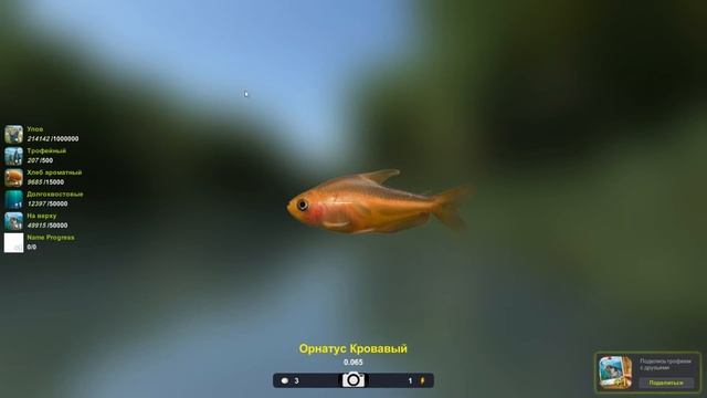 Орнатус Кровавый 65 грамм, игра Трофейная рыбалка 2, река Амазонка, локация Сукуриджуба смотреть онлайн