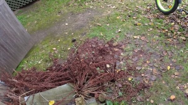 Elektrijalgratas electric bicycle e-bike ZPAO Электровелосипед электрический велосипед ZPAO