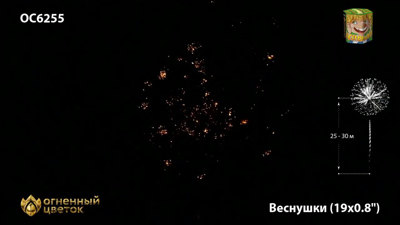 OC6255 смотреть онлайн