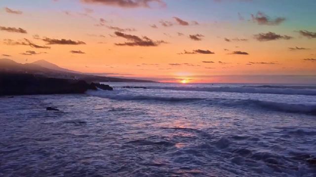 Коммерция Кто может ею заниматься смотреть онлайн