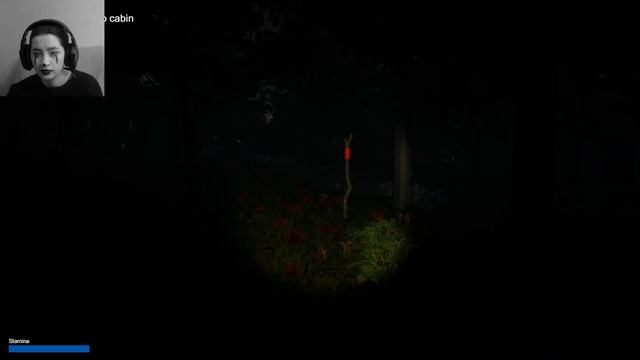 A Lonely Cabin Trip # Нервный отдых (+все концовки) смотреть онлайн