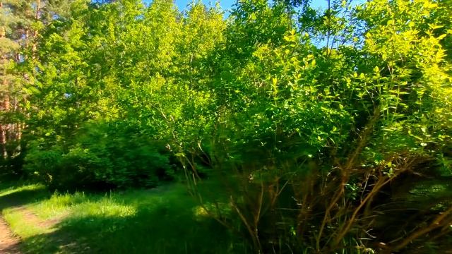 Приехав на встречу с женихом на 30 минут раньше, она увидела такое, от чего стало трудно дышать... смотреть онлайн