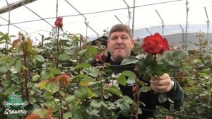 JFTV: Ecuadorian "Coffee Break" roses live from Jet Fresh Flower Growers with Mike