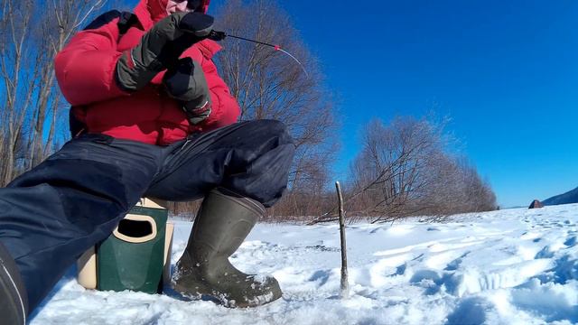Безмотылка в - 23 ! 23 февраля 2018г. Хотел наловить живца, а половил густеру. смотреть онлайн