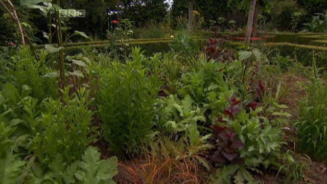 Gardeners' World 14 (2011)