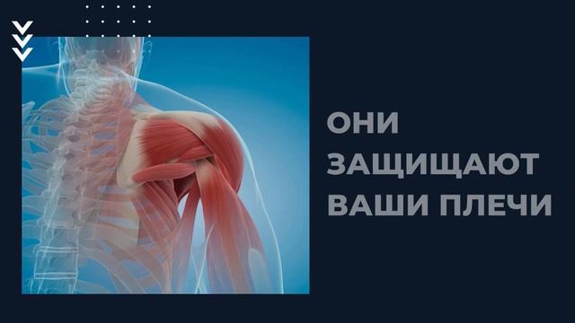 ВСЕГО 30 Отжиманий Каждый День В Течение 1 Месяца, Посмотрите, Что Происходит С Вашим Телом смотреть онлайн