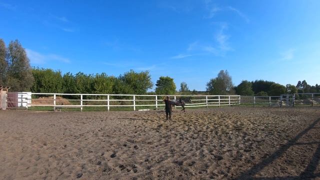 УКРОЩЕНИЕ ПУГЛИВОГО КОНЯ,ВОСПИТАТЕЛЬНЫЙ ПРОЦЕСС С "ГАФУРОМ" ЗАКЛИНАТЕЛЕМ ЛОШАДЕЙ смотреть онлайн