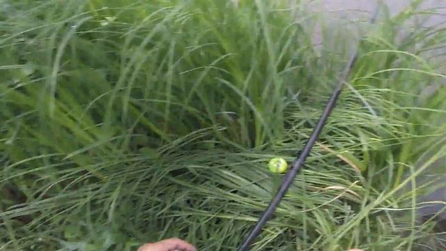 Видео о рыбалке, съёмка видео через накомарник. смотреть онлайн