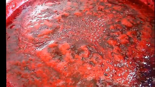 ツ Джем Из Смородины С Пектином смотреть онлайн