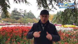 Проверенный способ, как улучшить дренаж в выгребной яме и забыть об ассенизаторах.