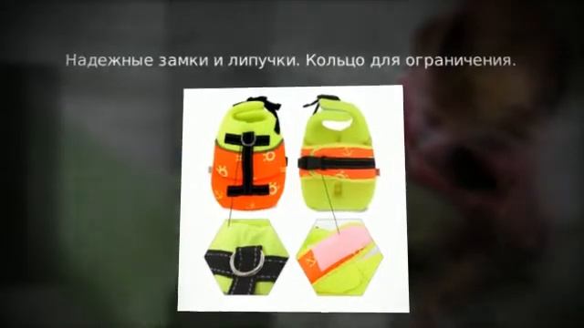 Спасательные жилеты для собак смотреть онлайн