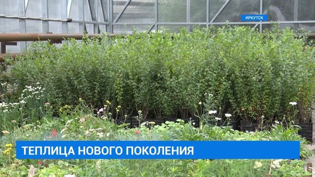 Теплица нового поколения смотреть онлайн