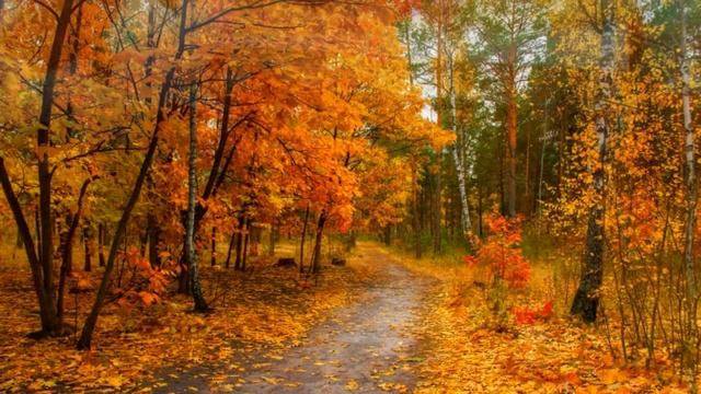 Осеннее настроение. Видео для медитации и расслабления. Слайд-шоу с музыкой об осени. смотреть онлайн