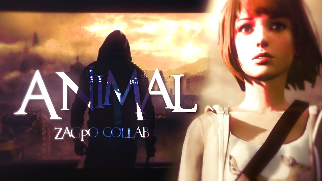Multigames GMV- Animal (collab)