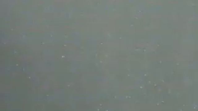 Brownian motion of Particles in Gases and Liquids смотреть онлайн