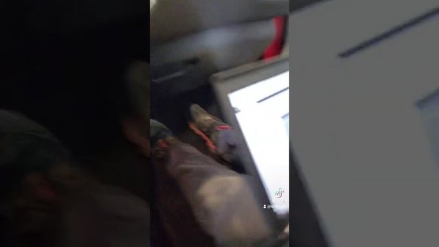 reparación de fallos de motor Peugeot 308 año 2019 смотреть онлайн