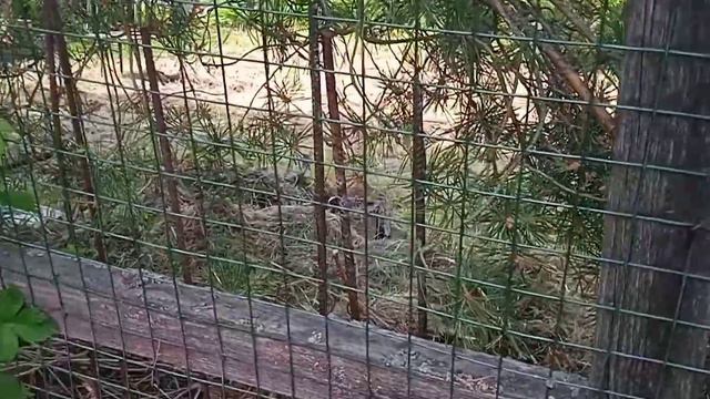 ДАВНО НЕ БЫЛО НАС, ЧТО СЛУЧИЛОСЬ С НАМИ ! ПРИЕЗД ВАХТОВО-ВЫХОДНОЙ! ЖИЗНЬ ПРОСТЫХ ЛЮДЕЙ смотреть онлайн