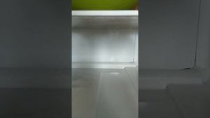 Холодильник BEKO скапливается вода