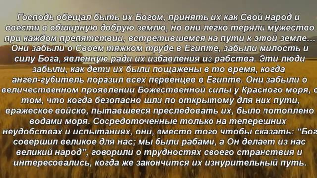 Книга «Борьба и мужество: Снова ропот» (Элен Уайт) (глава 3.29) смотреть онлайн
