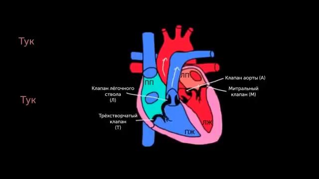 Тоны сердца смотреть онлайн