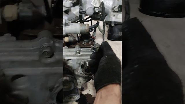 Grand Starex... смотреть онлайн