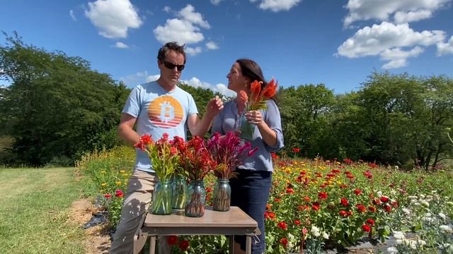 Five Best Celosia We Use On The Farm | PepperHarrow Farm смотреть онлайн