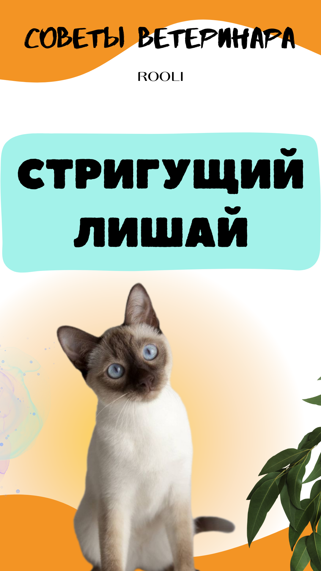 Стригущий лишай у питомцев - собак, кошек, грызунов. смотреть онлайн