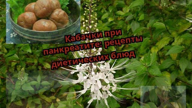 Живопись на Теле