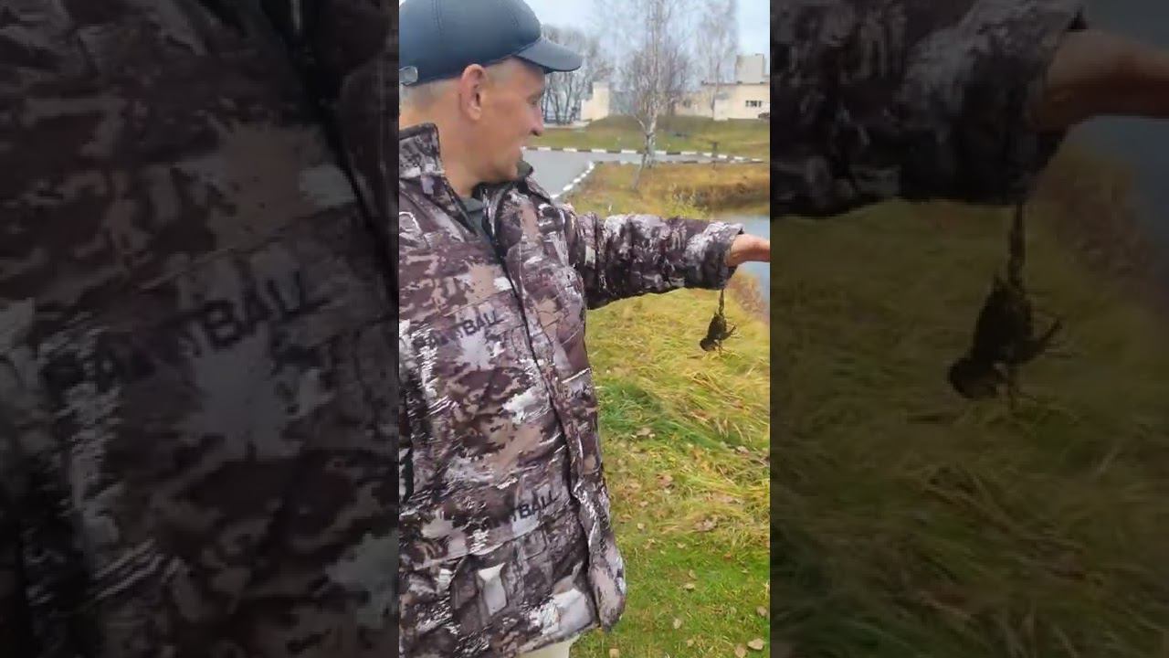 Ловля раков на живца! #рыбалка #раки #ловляраков #наживца #Мяснов #АлександрМяснов смотреть онлайн