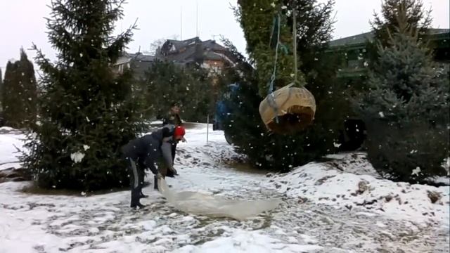 #thuja #туя #посадкакрупномеров #пересадкатуисмарагд #хочуврек Пересадка крупномера. Туя смарагд. смотреть онлайн