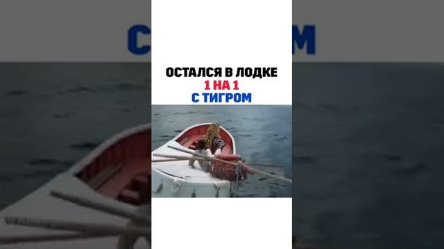 Остался в лодке 1 на 1 с тигром смотреть онлайн