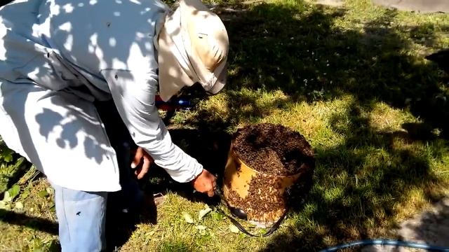 Рой пчел на даче смотреть онлайн
