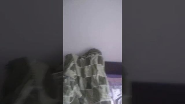 шалаш для кота 2 смотреть онлайн