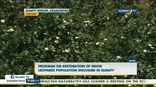 Программу по восстановлению популяции барсов обсудили в Алматы - Kazakh TV смотреть онлайн