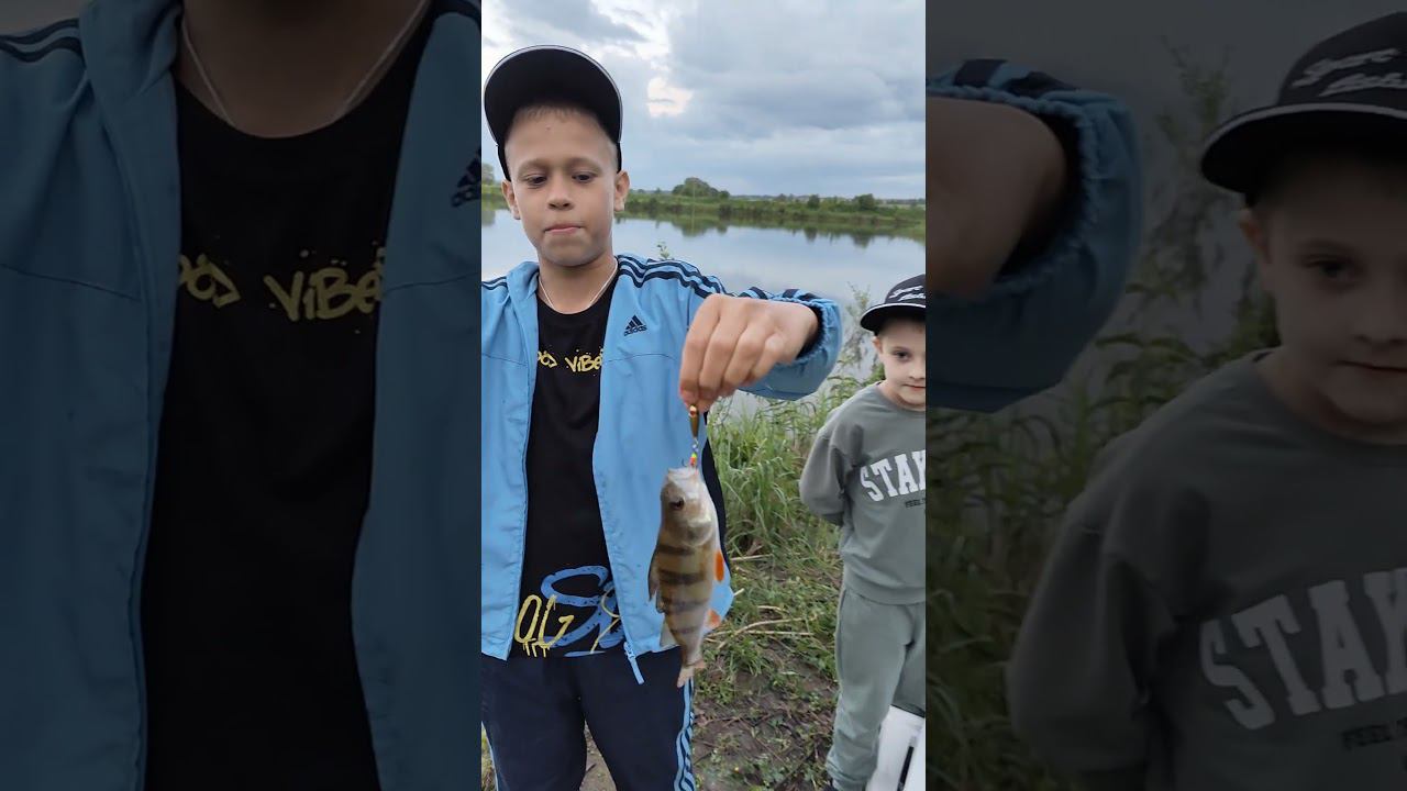 Окунь на вертушку. #база #природа #рыбалка #fishing #top #блесна #рыбаки #рыба #viral #микроджиг смотреть онлайн
