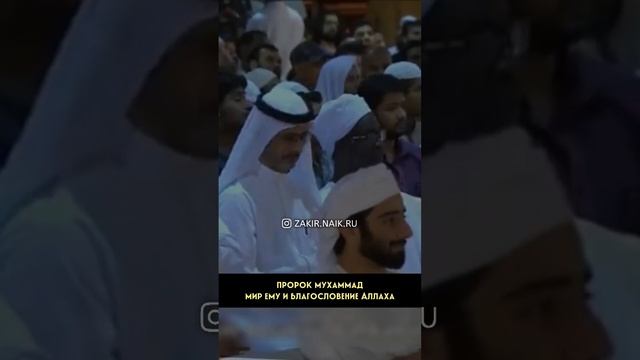 "Мольба во имя Иисуса" правильно ли это в Исламе? Закир Найк смотреть онлайн