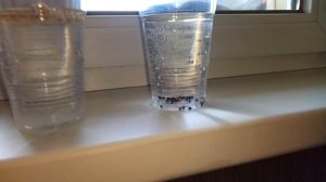 #1. Рыболовный LifeHack. Корм для форели. Малек в банке. Блесна для форели.