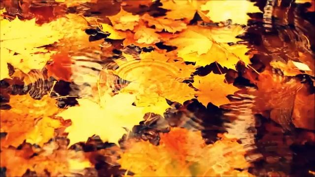 Красивая музыка-классика в современной обработке смотреть онлайн