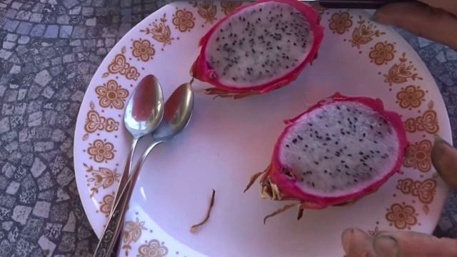 Dragon Fruit How to Grow this Tropical Cactus to Produce Tons of Sweet Fruits Pollinating Protectin смотреть онлайн