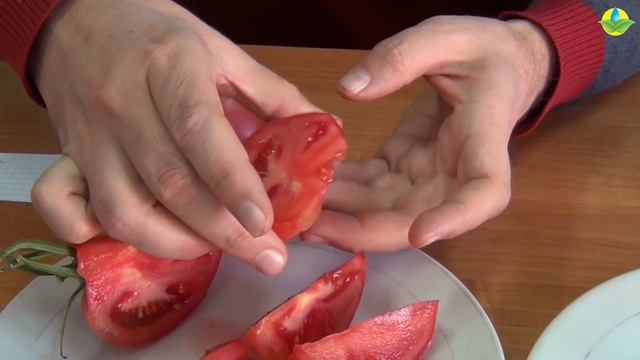 РОЗОВЫЙ ТОМАТ ПИНК АГАТ F1 ПОРАЖАЕТ ВКУСОМ И ЦВЕТОМ смотреть онлайн
