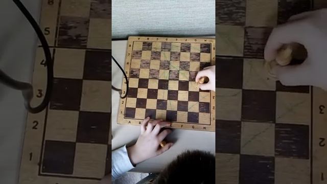 как правильно играть в шахматы смотреть онлайн